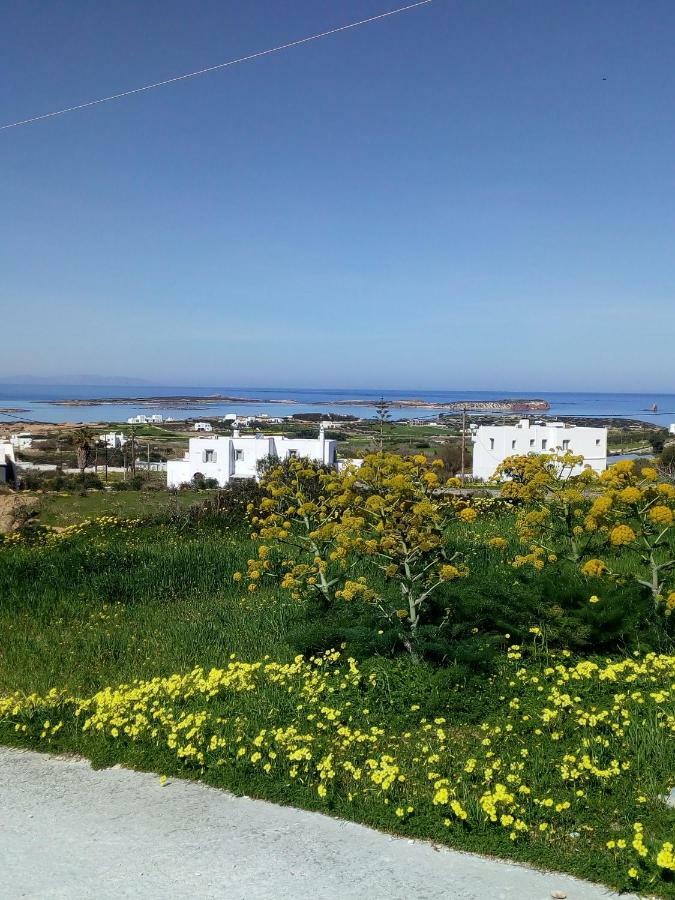 Traditional House Paros Sarakíniko Dış mekan fotoğraf