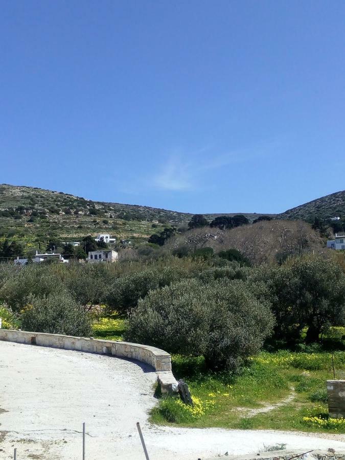 Traditional House Paros Sarakíniko Dış mekan fotoğraf