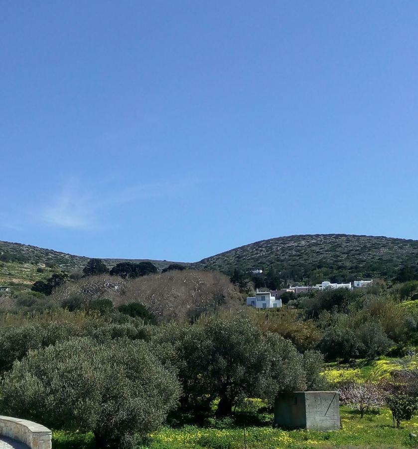 Traditional House Paros Sarakíniko Dış mekan fotoğraf